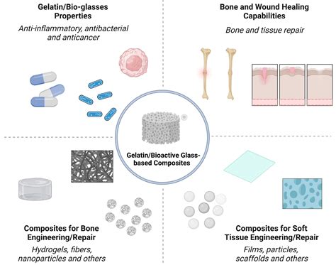  Gelatin-基生物相容性材料在組織工程中的應用潛力！