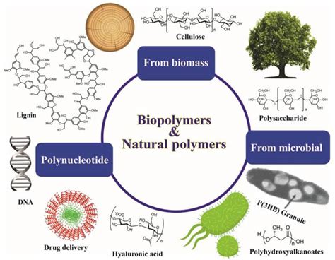 烏拉Porque：天然膠體與生物降解性聚合物！